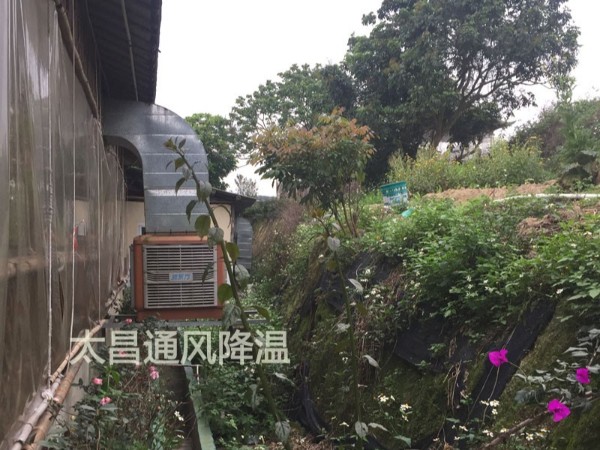 餐廳太熱？環(huán)?？照{(diào)為你送清風(fēng)